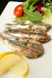Bluefish
