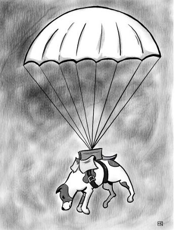 Parachute