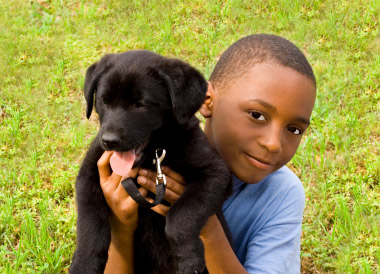 Boy and Puppy