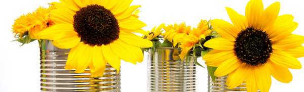 flowers in coffee cans