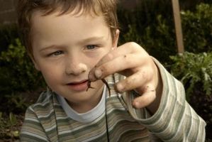 composting-fun-easy-kids-800x800