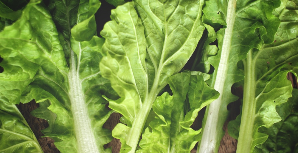 Chicken noodle- ettuce wraps