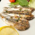 Bluefish