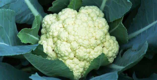 Indo chinese cauliflower